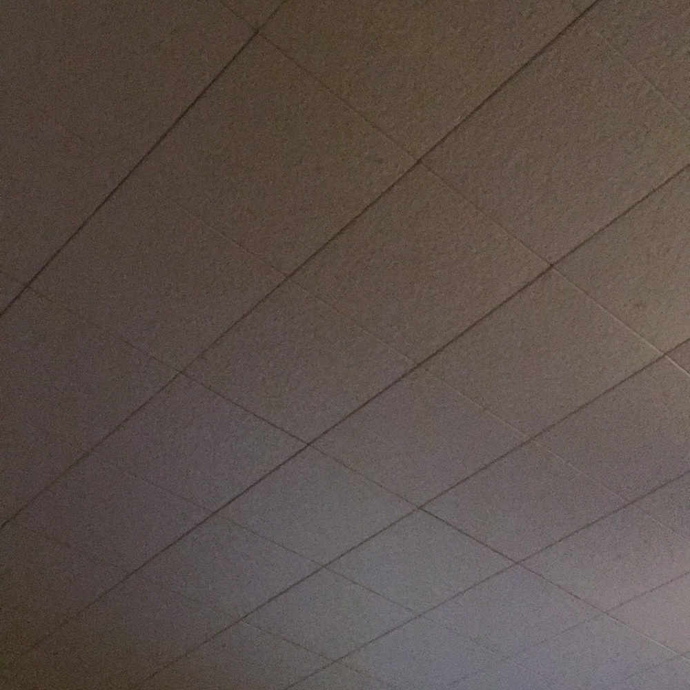 Meet your Posher, Dafny